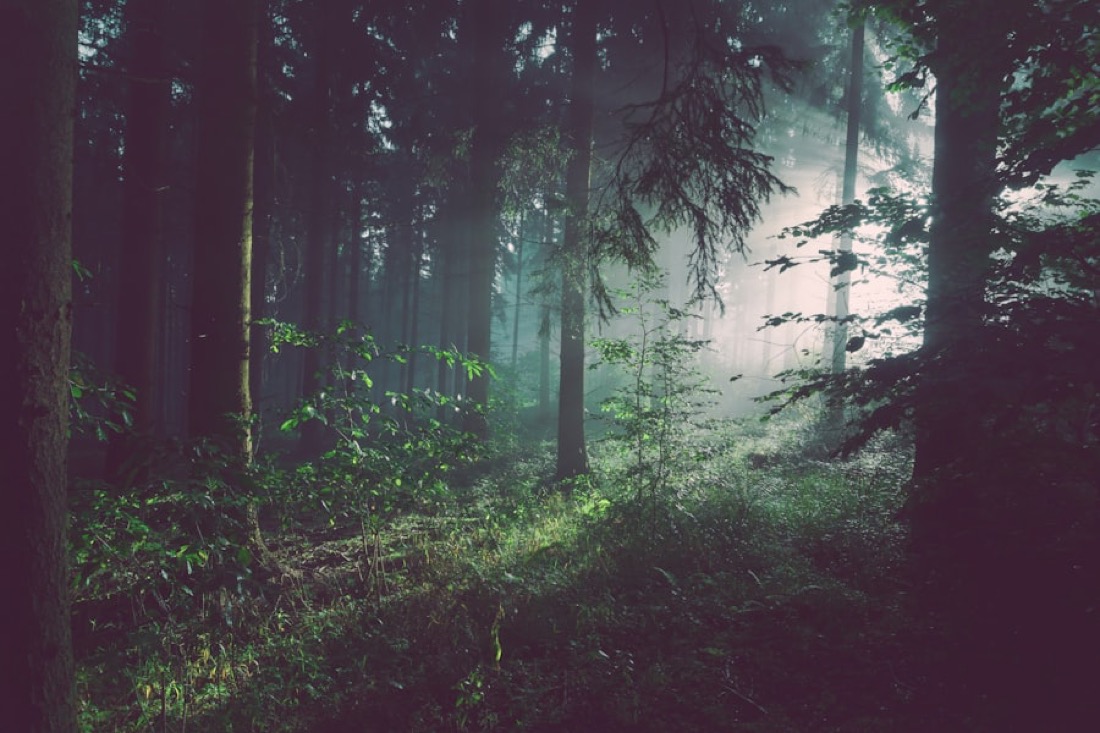 What “built to last” means for the software you run your business on